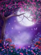 Фотообои Цветущее дерево под луной
