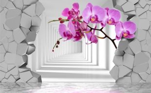 Фотообои Яркие 3Д орхидеи за стеной