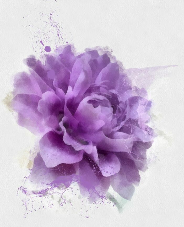 Картина на холсте фиолетовый пион с каплями краски, арт hd1428001