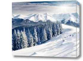 Картина зима в горах