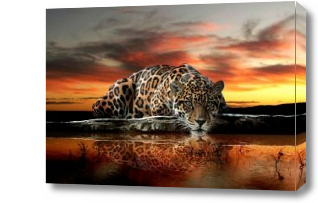 Картина Нежный котик из джунглей на фоне заката